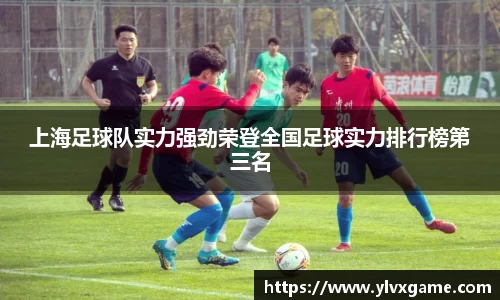 上海足球队实力强劲荣登全国足球实力排行榜第三名